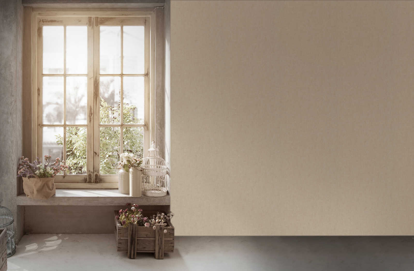 fenster, raumschmuck, pflanzen, blumen, deko