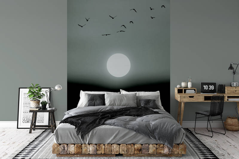             Sonnenuntergang Fototapete im winterlichen Schwarz-Weiß Look
        