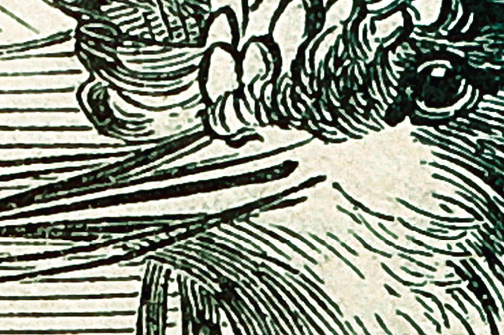 Tier, Schnabel, Vogel, Kunst