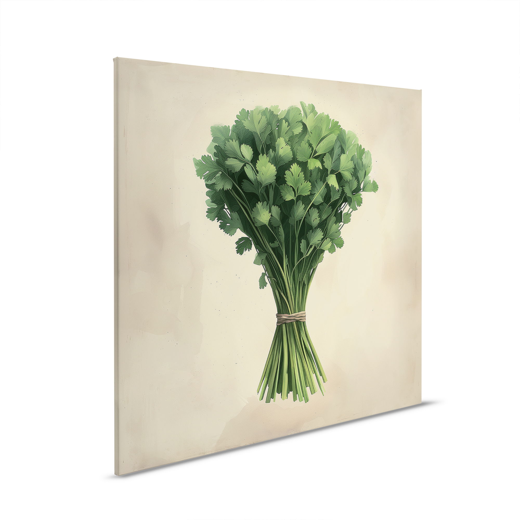        Verse koriander - levensecht kruidenmotief op canvas, ideaal voor keuken en eetkamer - 30 x 30 cm - crème, beige
    