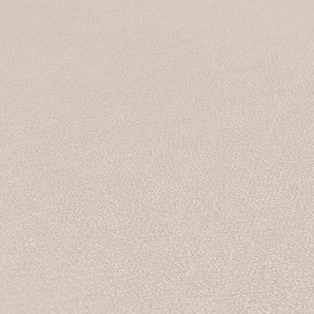             Vliestapete einfarbig in dezenten Farben – Greige, Hellgrau
        