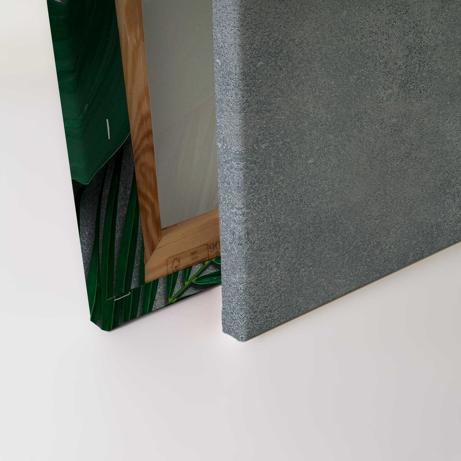             Leinwandbild tropische Blätter auf Betonuntergrund – 0,90 m x 0,60 m
        