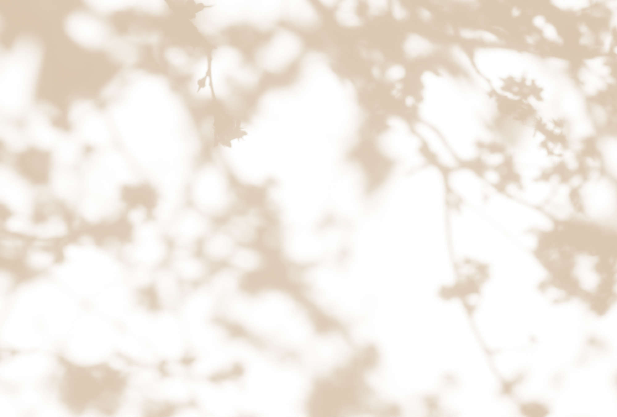 Draußen, Natur, Wetter