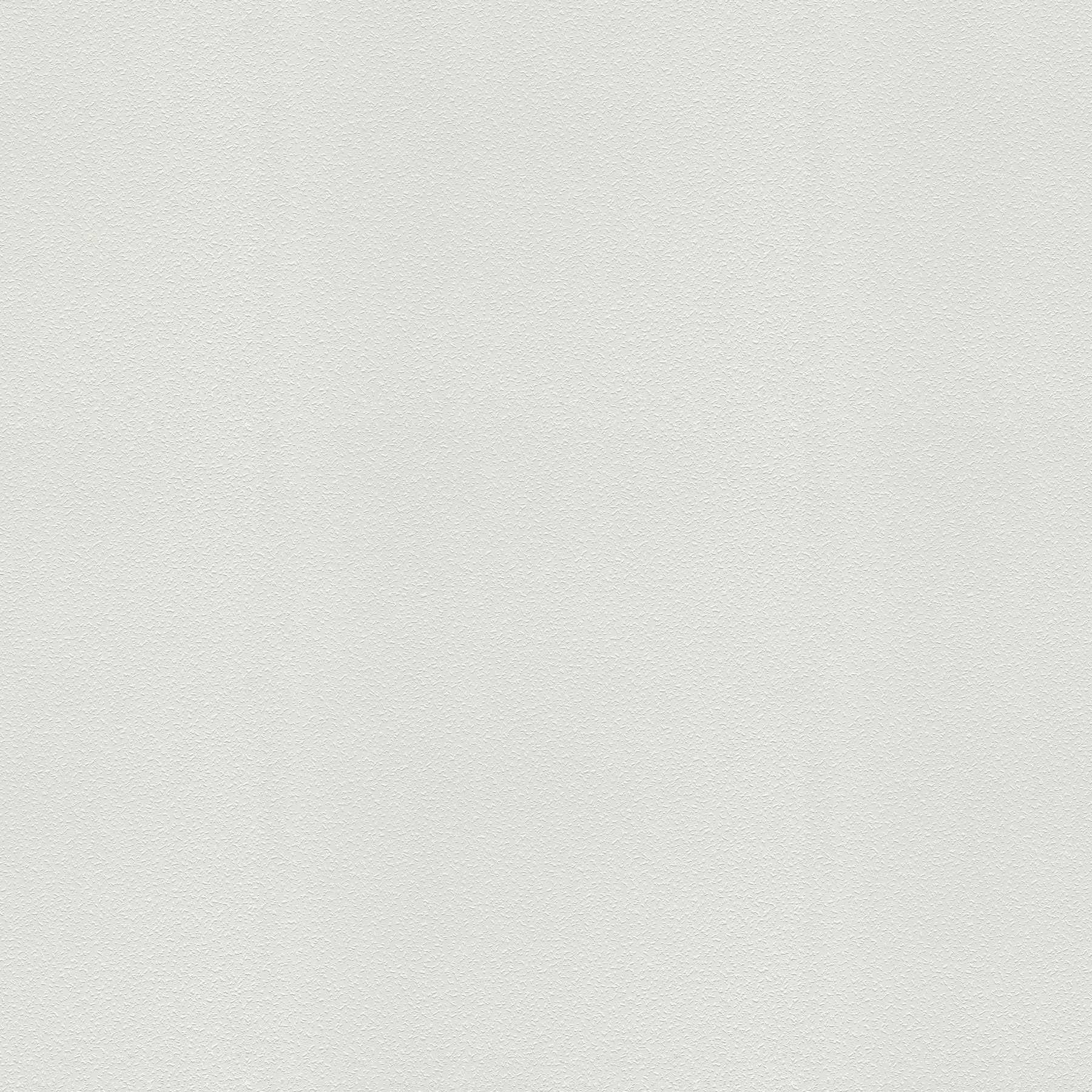         Structuurbehang met fijne houtsnipperlook - wit
    