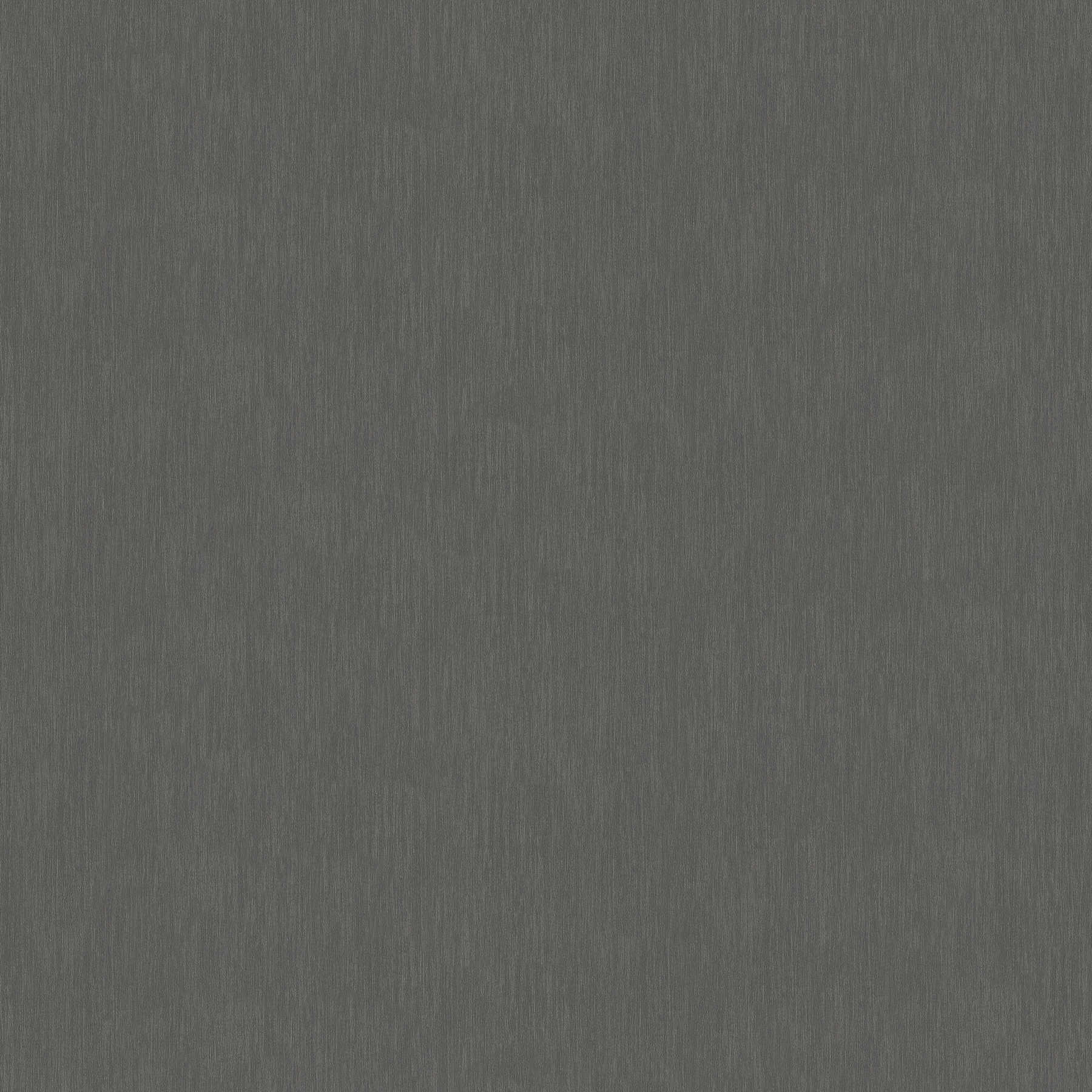         Vliesbehang effen, mat Premium - Zwart
    