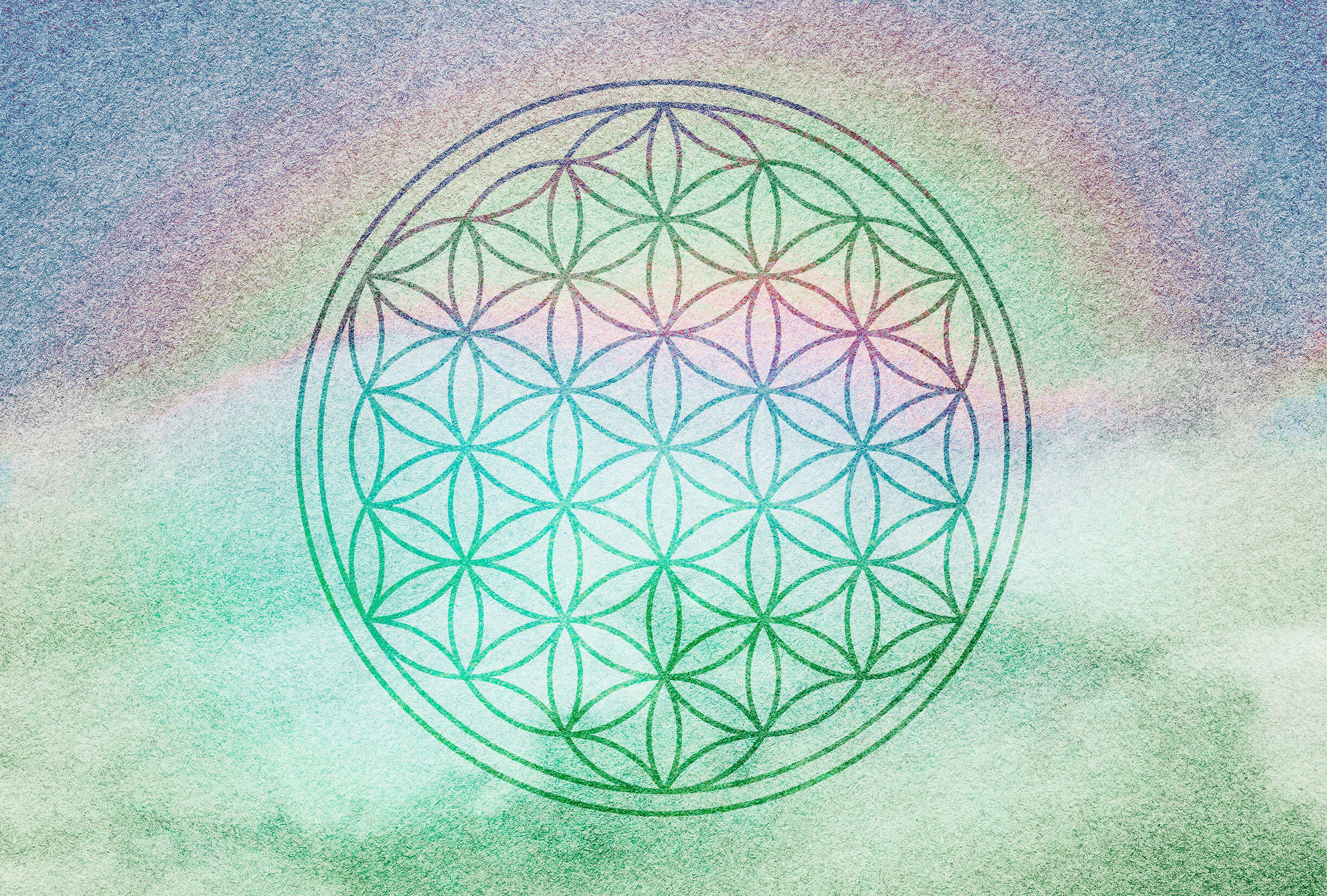 Fototapete Mandala-Design mit Regenbogenfarben – Grün, Violett, Rosa
