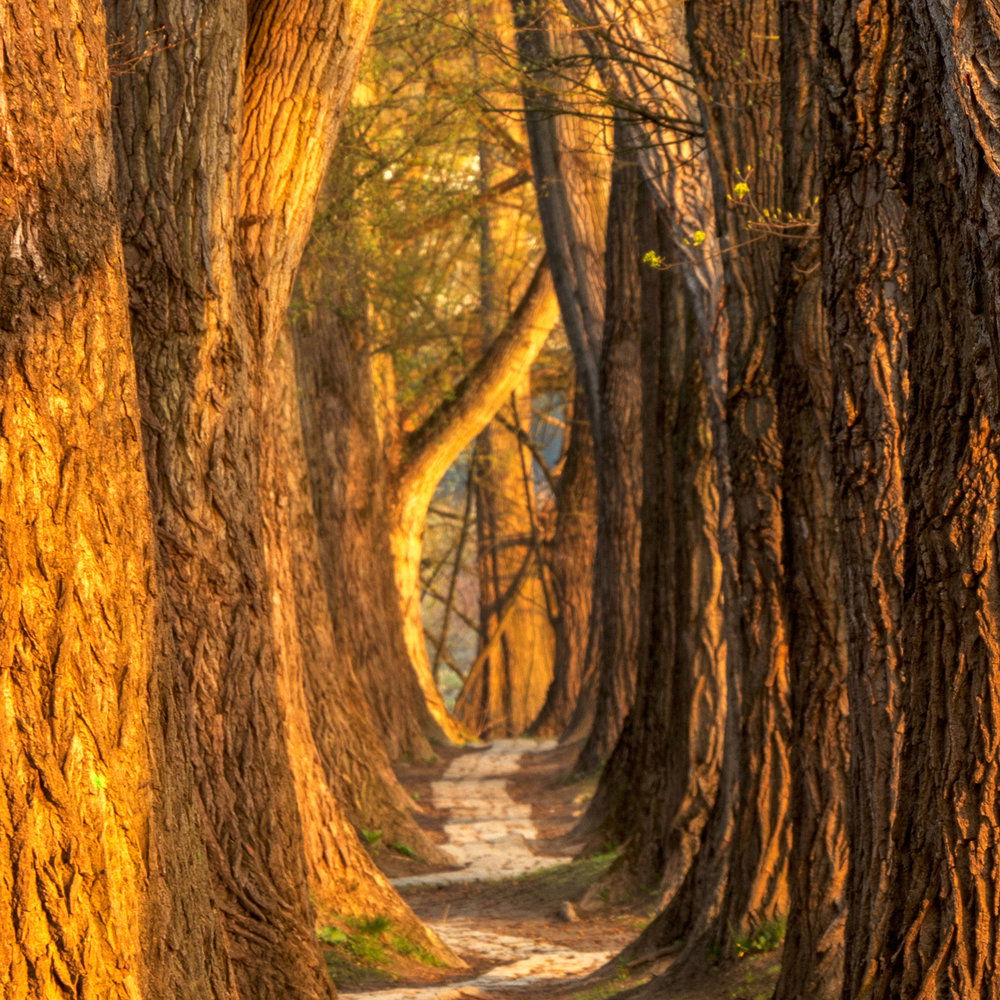             Architects Paper Fototapete AP Digital 4
        