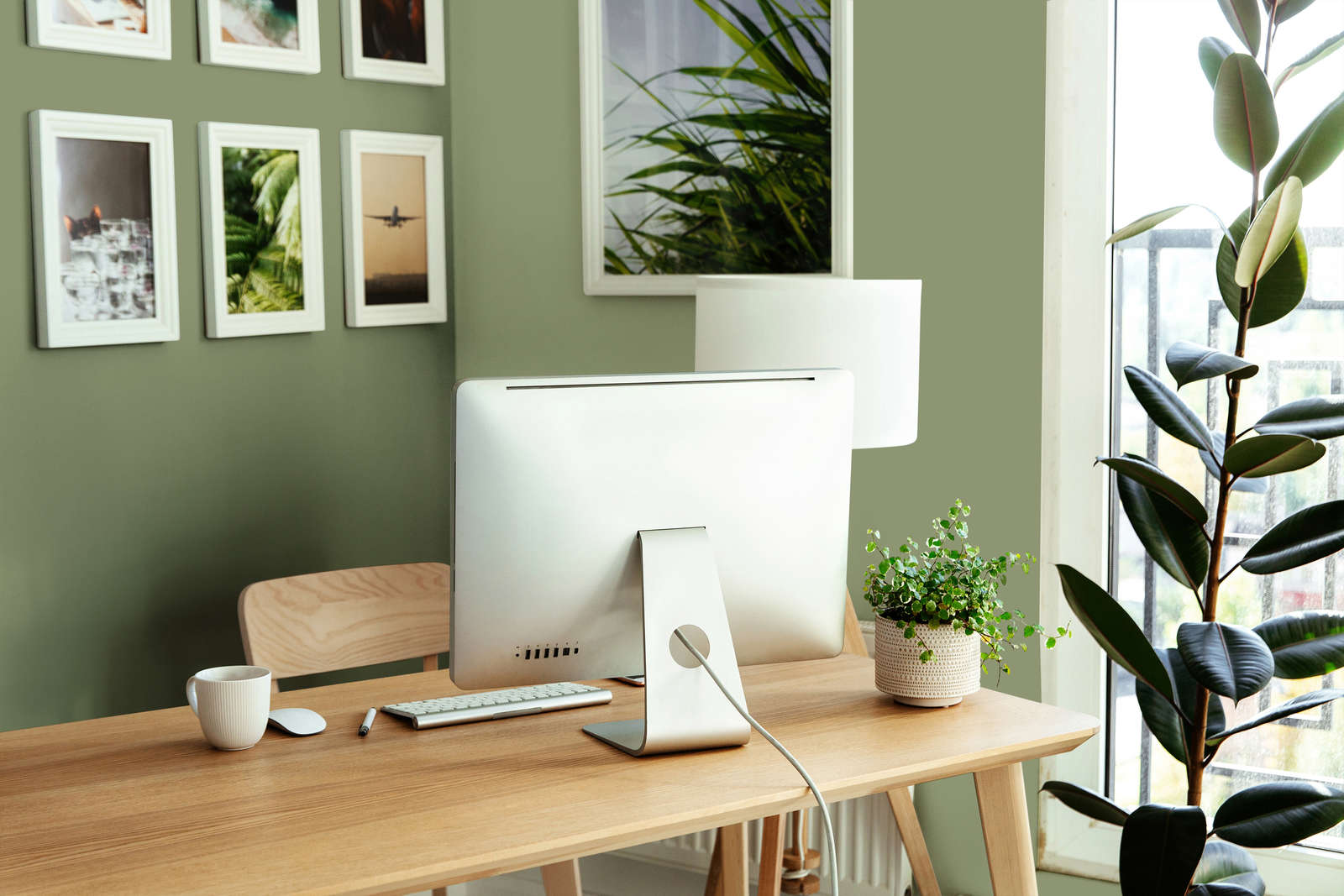 Tabelle, Pflanze, Pflanze im Topf, Schreibtisch, Computer-Tastatur