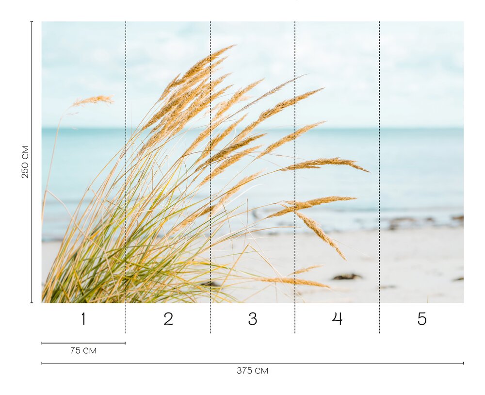 Fototapete Küstenwind – Vliestapete mit Strandgräsern und Meerblick für maritimes Ambiente – Bunt