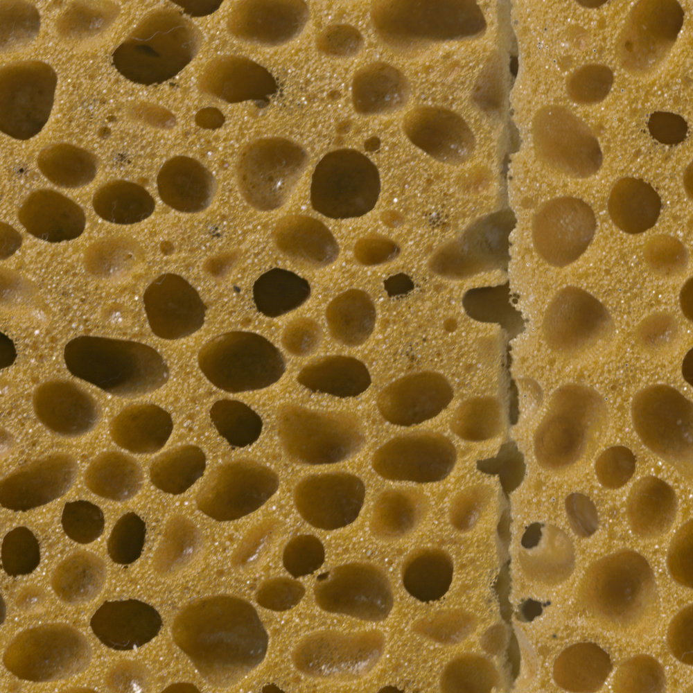             Organische Struktur Vliestapete – Fototapete in realistischer Schwamm Optik – Braun, Schwarz
        