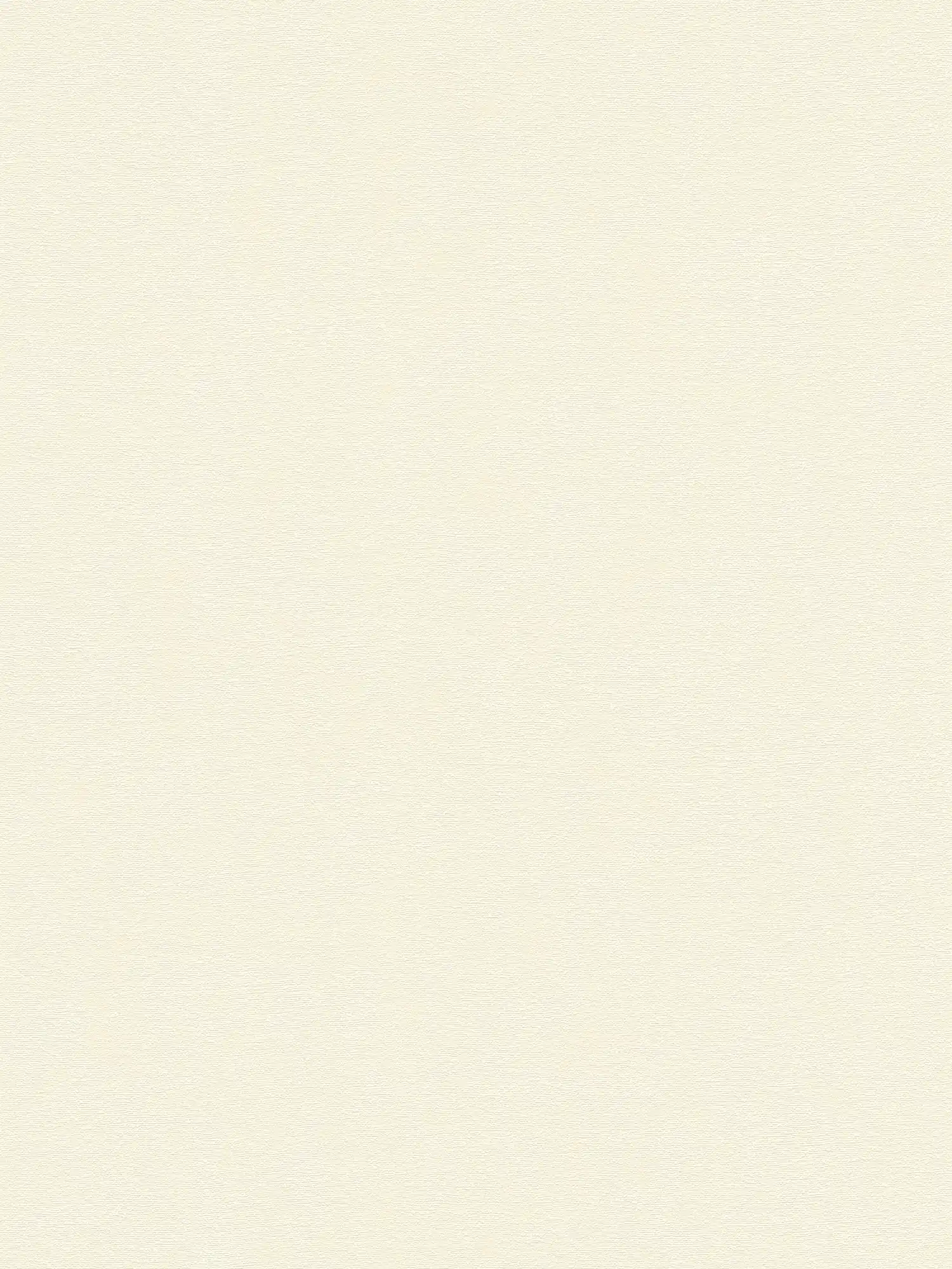         Eenkleurig behang met lichte textuur - wit
    