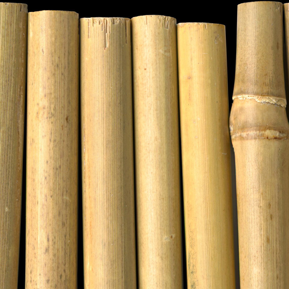             Exotische Bambus Fototapete – Vliestapete in 3D Optik mit Dschungel Flair – Beige, Braun
        