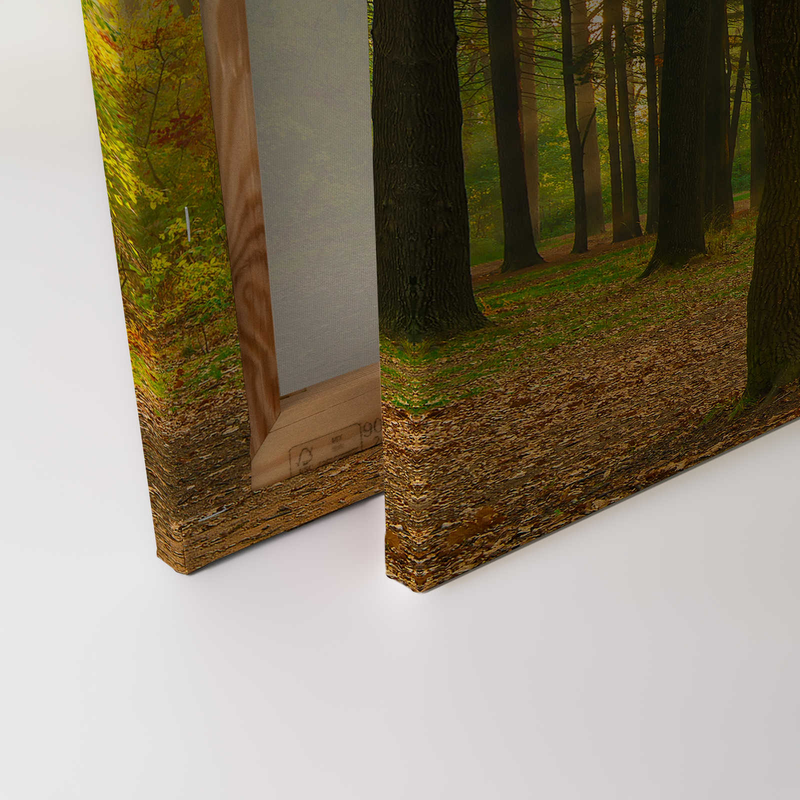             Leinwandbild Wald Landschaft im Herbst – 0,90 m x 0,60 m
        