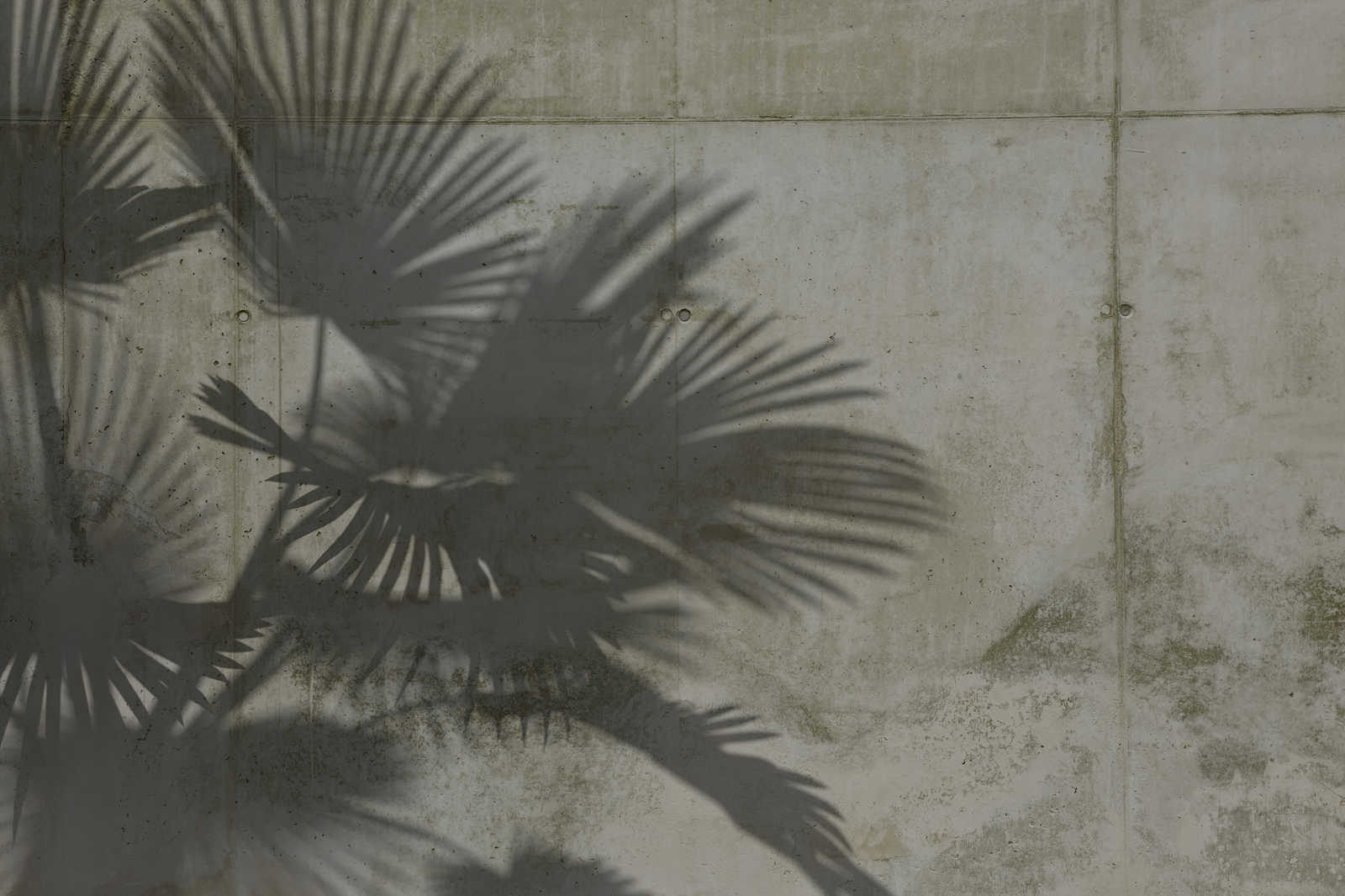             Leinwandbild Schatten von Palmenblättern auf Betonwand – 0,90 m x 0,60 m
        