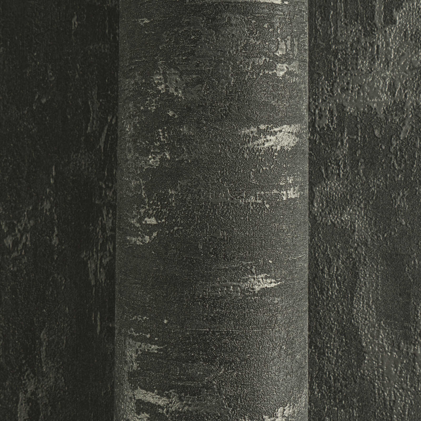 Pflanze, Baum, Textur, Schiefer