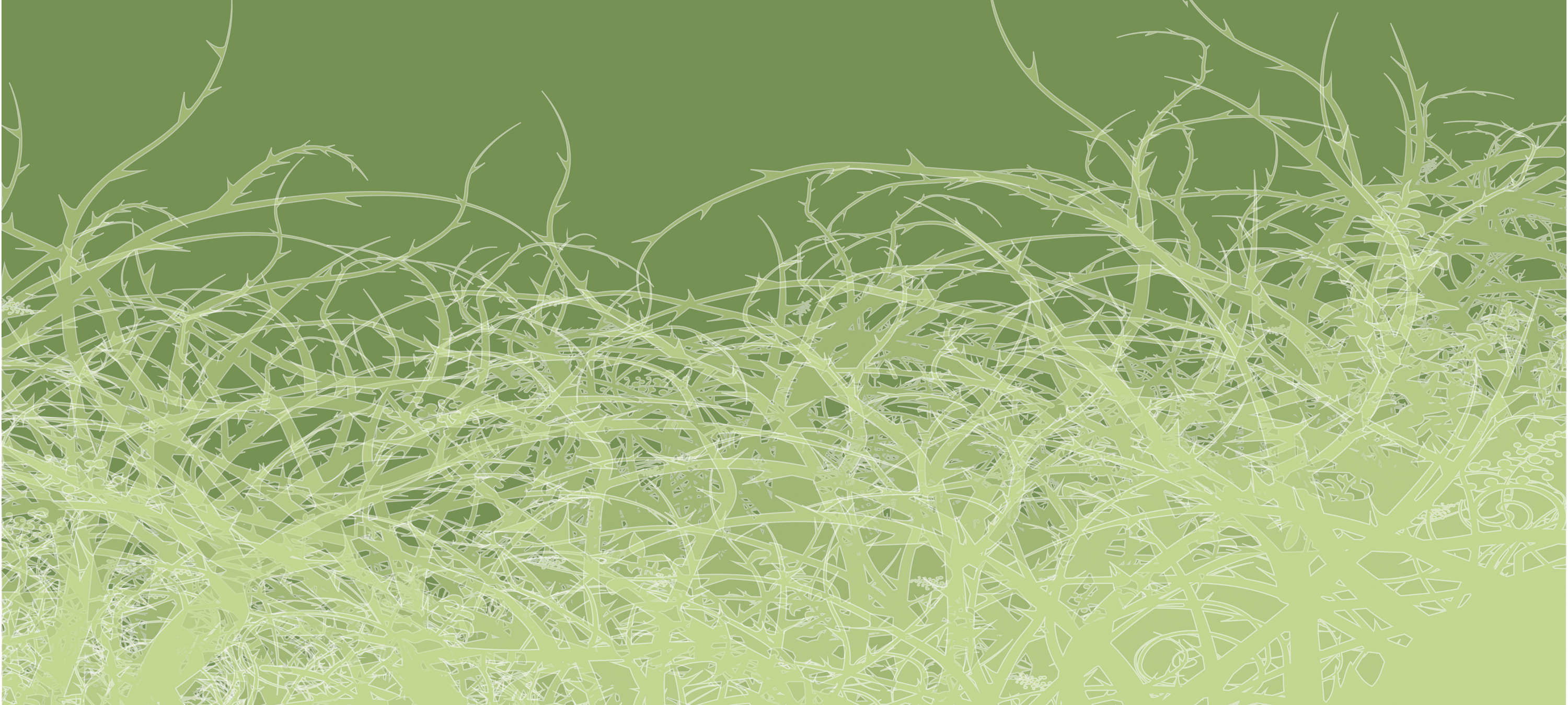 Gras, Pflanze, Grün, Moos, Textur