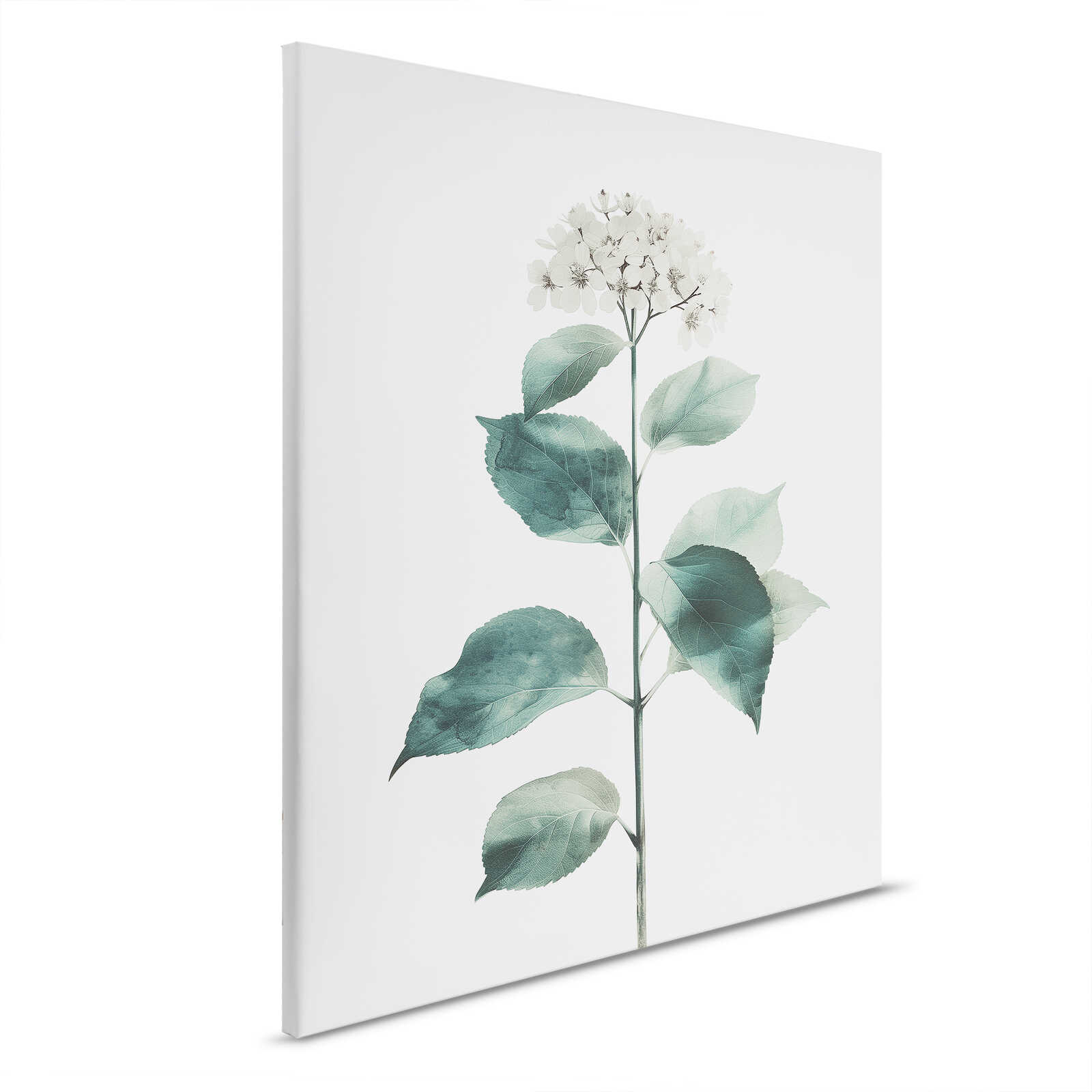         Hortensia minimaliste - Toile élégante dans les tons verts tendres - 40 x 50 cm - Blanc, Vert
    