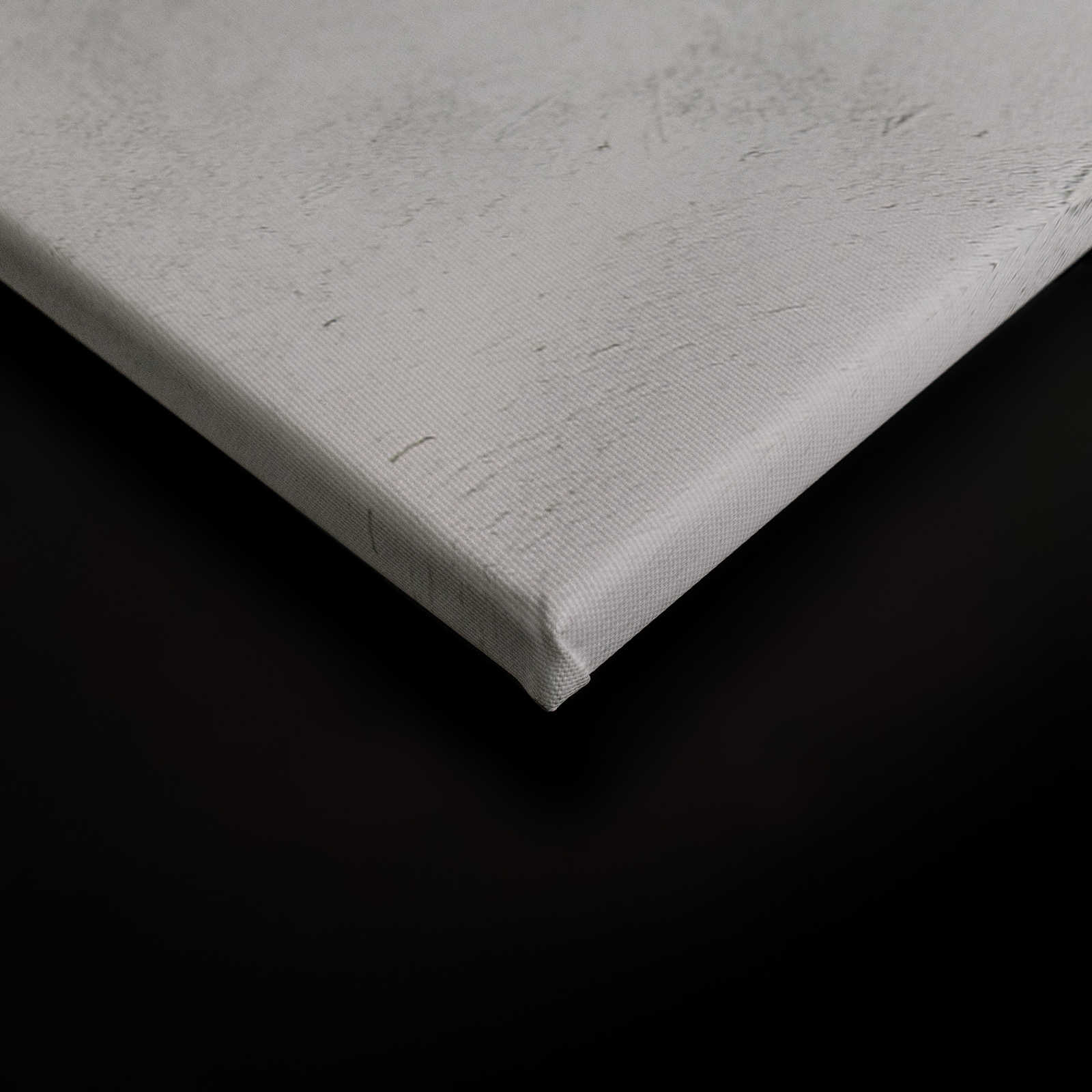             Leinwandbild Blätterranken vor Betonmauer – 0,90 m x 0,60 m
        