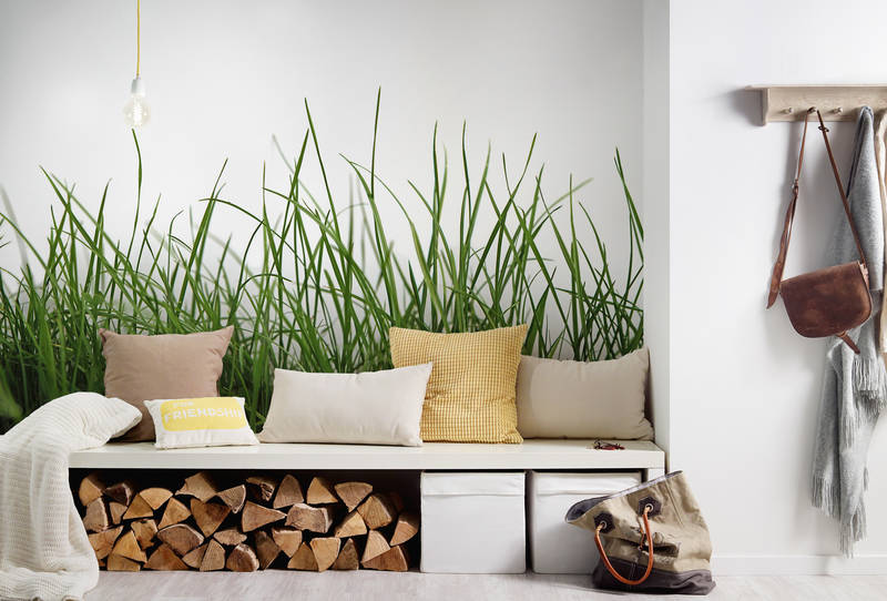             Fototapete mit Detailaufnahme von frischem Gras vor weißem Hintergrund
        