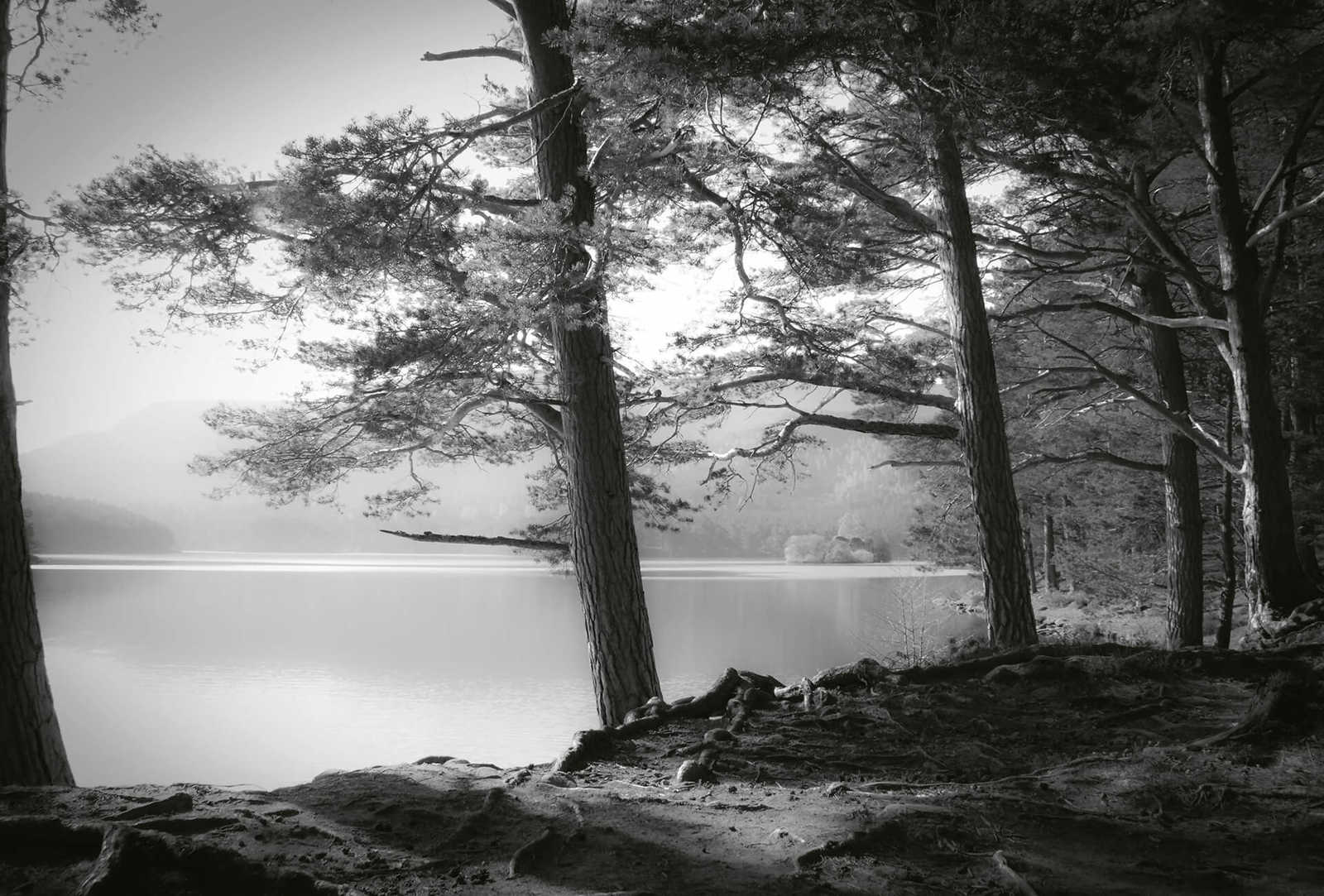         Photo wallpaper forest with lake - black, white, grey
    