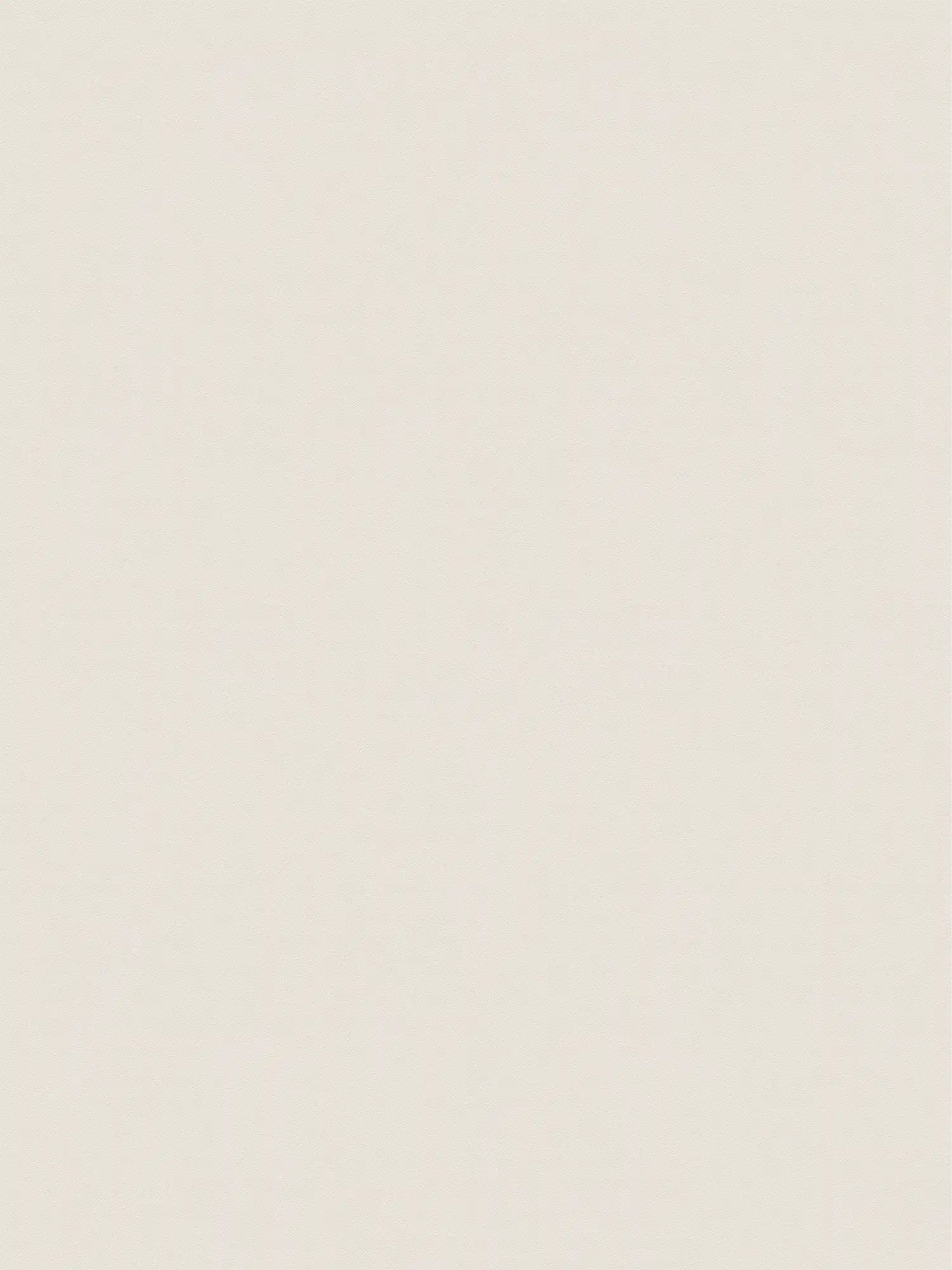         XXL non-woven wallpaper - 'Das Uni' from wallpaper shop - 1.06m double width - single-coloured and subtly textured - cream-cream
    