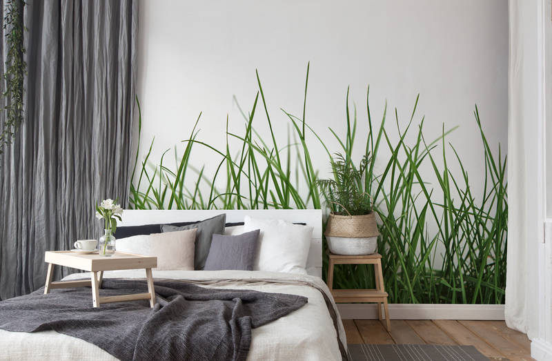             Fototapete mit Detailaufnahme von frischem Gras vor weißem Hintergrund
        