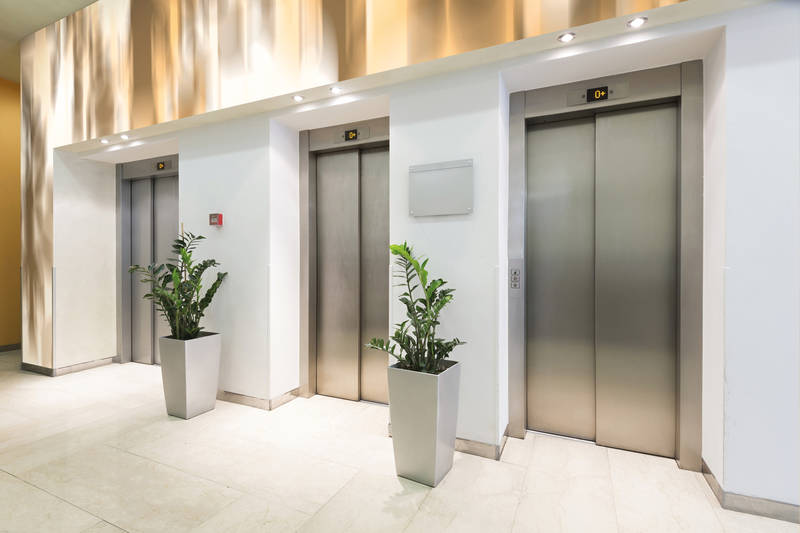 Drinnen, Aufzug, Innenarchitektur, Pflanze
