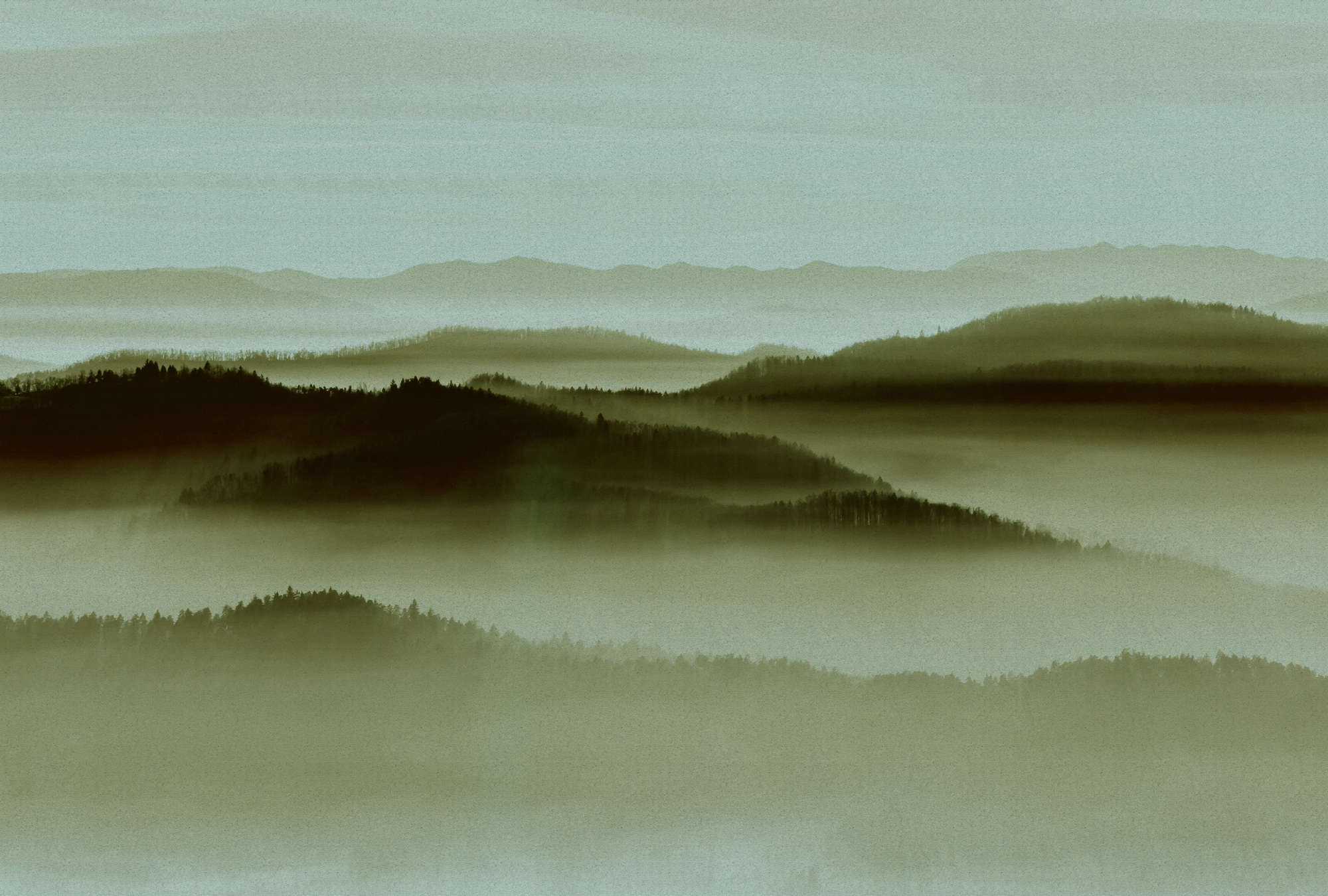 Natur, Draußen, Wetter, Nebel