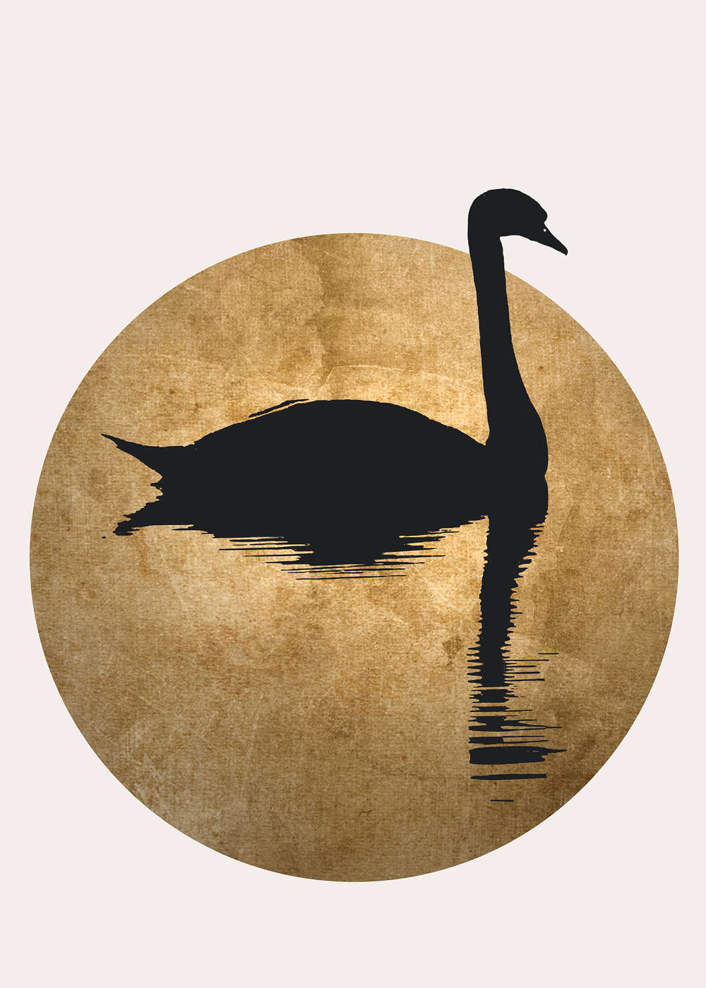 Schwan, Silhouette, Goldener Kreis, Wasserreflexion, Naturmotiv