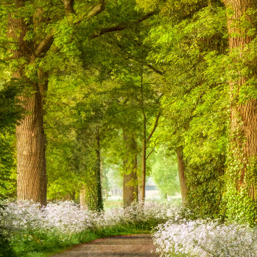             Architects Paper Fototapete AP Digital 4
        