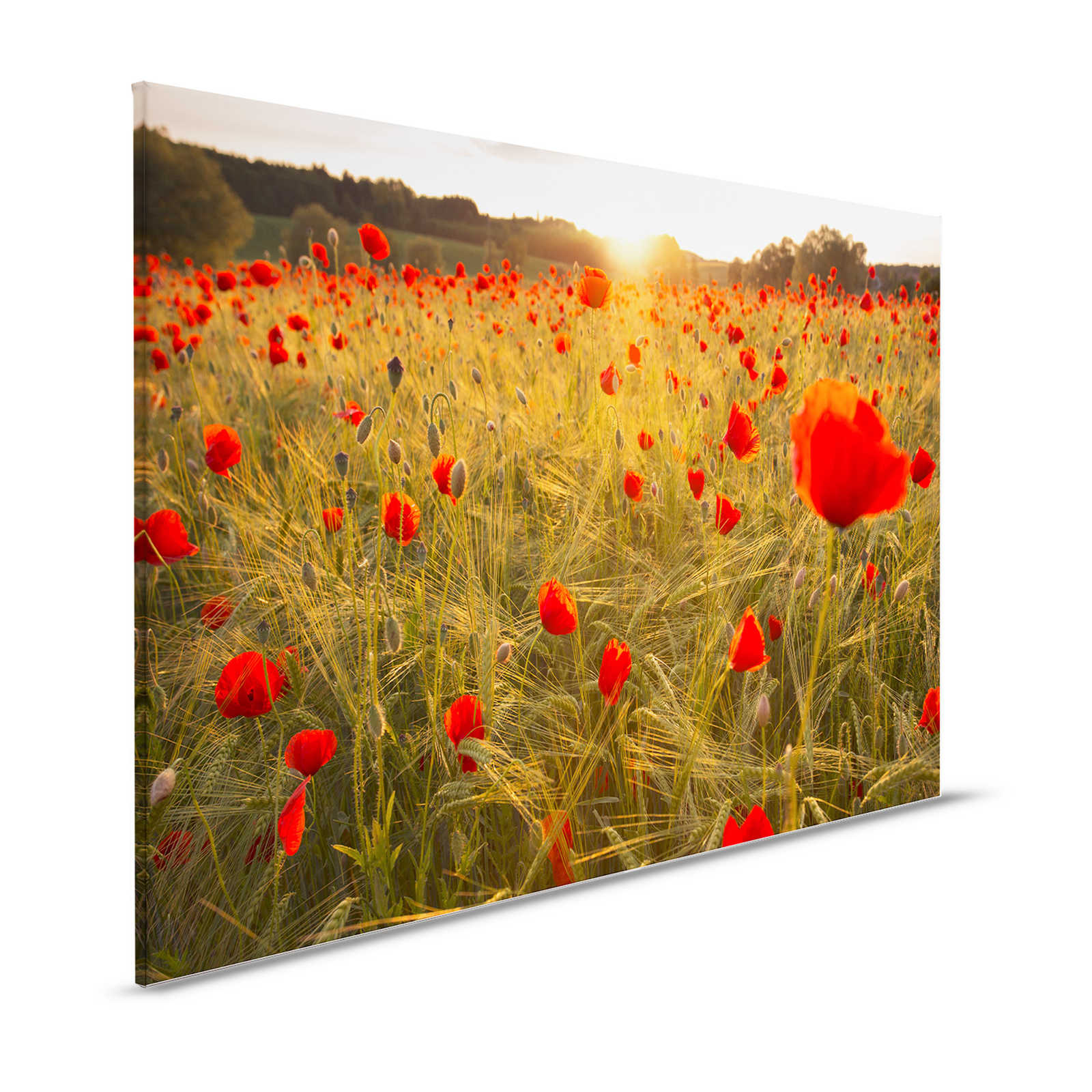 Coquelicot Sur Le Terrain Nature - Photo gratuite sur Pixabay - Pixabay Coquelicot Sur Le Terrain Nature - Photo gratuite sur Pixabay - Pixabay