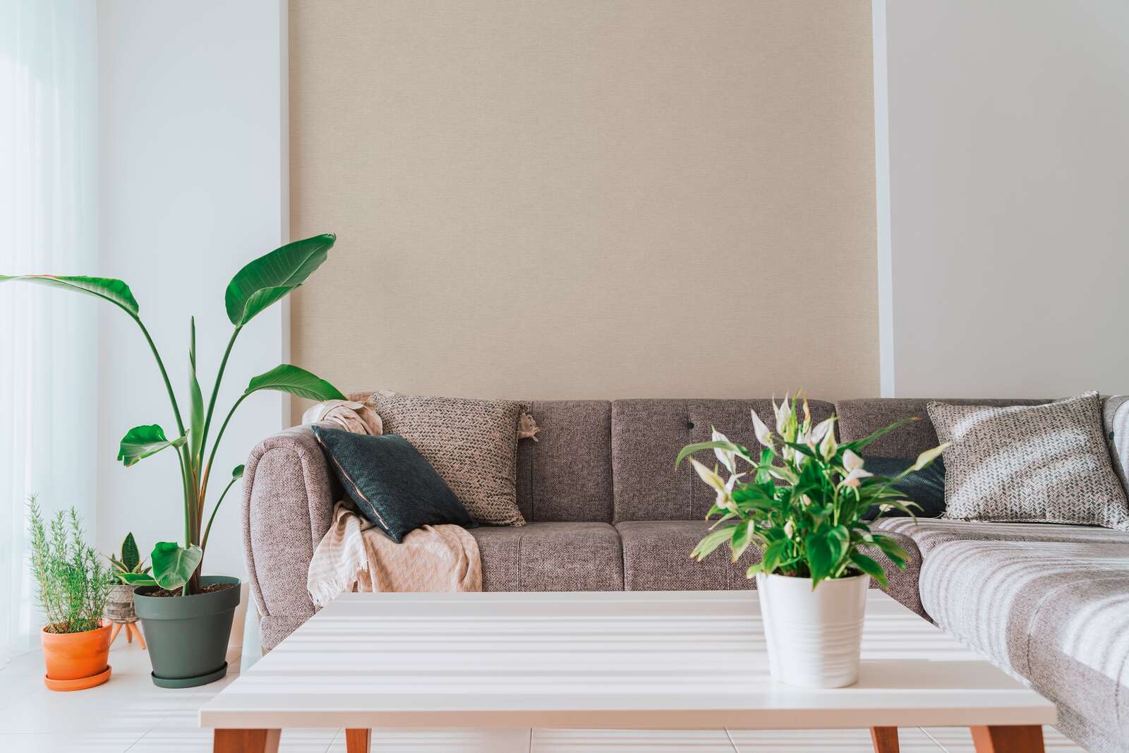 Innenarchitektur, Pflanze, Tabelle, Dekoration für Zuhause, Couch