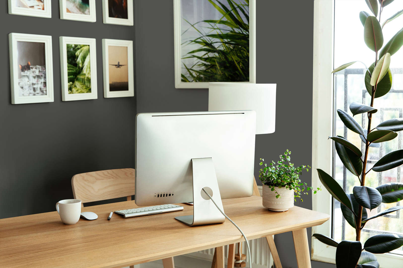 Moebel, Tabelle, Topfpflanze, Schreibtisch, Tischplatte