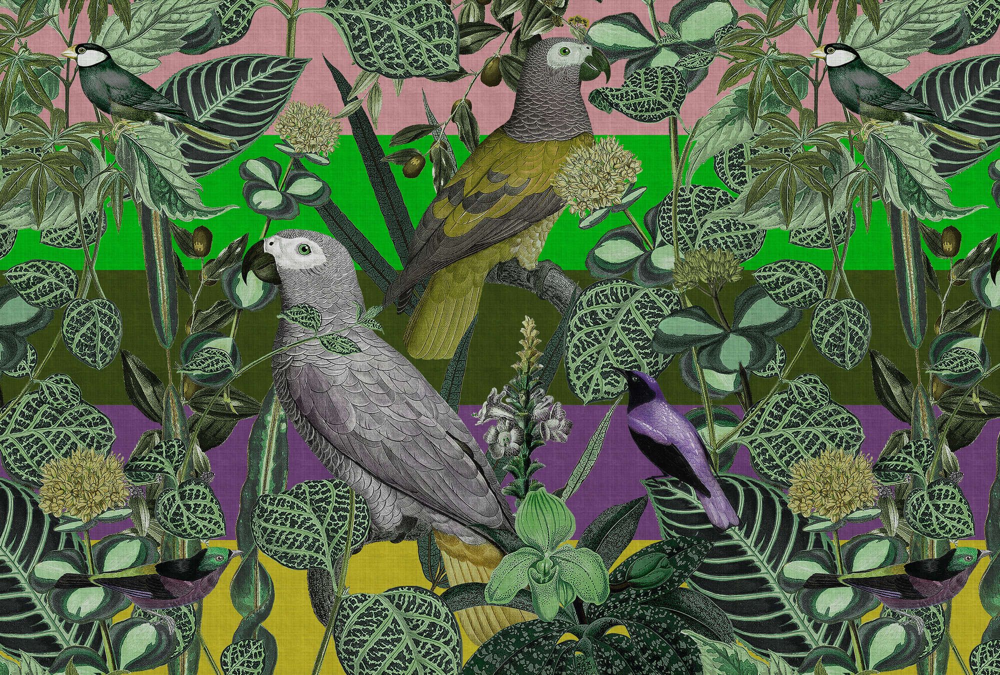             Fototapete »amazona 2« - Exotische Vögel –Grün | Glattes, leicht glänzendes Premiumvlies
        