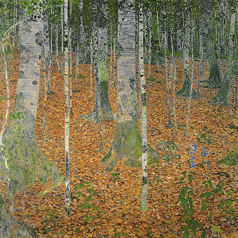             Fototapete 'Der Birkenwald' von Gustav Klimt
        