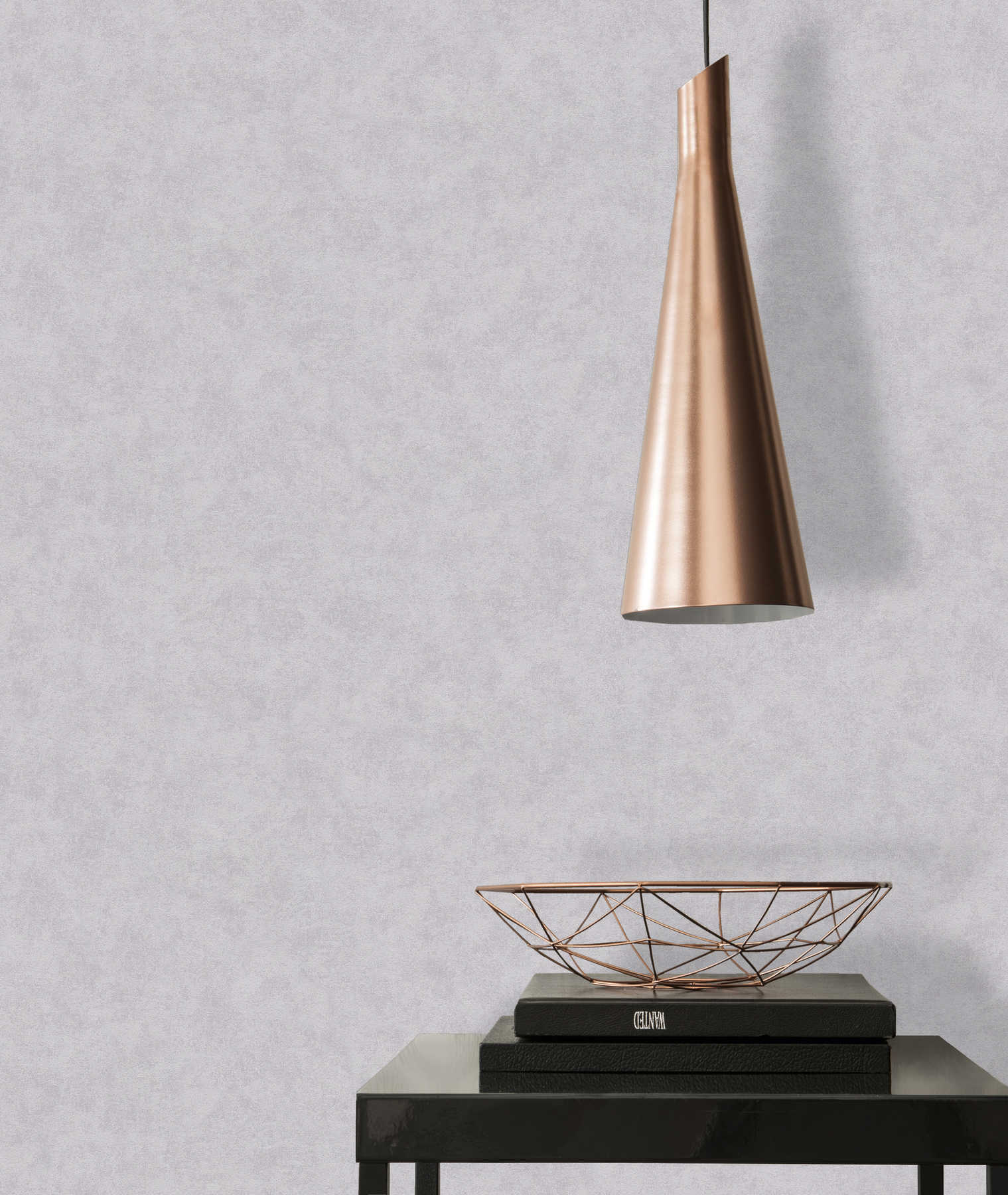             Vliestapete Beton-Grau matt mit Strukturprägung
        