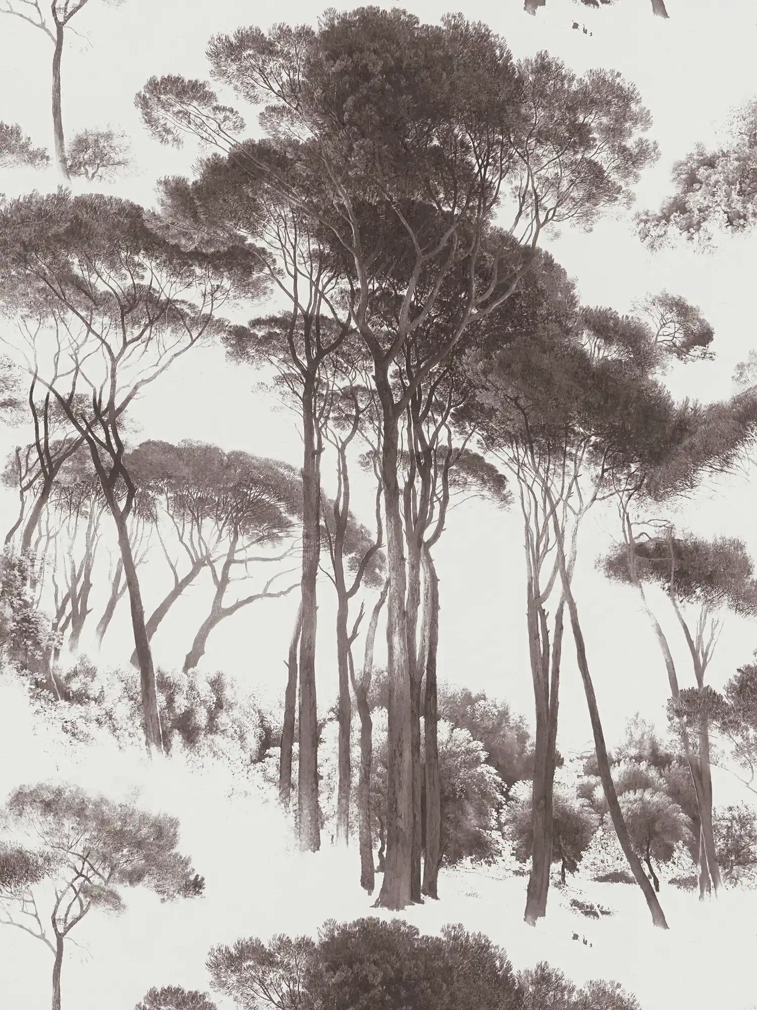         Papier peint intissé historique avec motif de paysage - noir, blanc
    