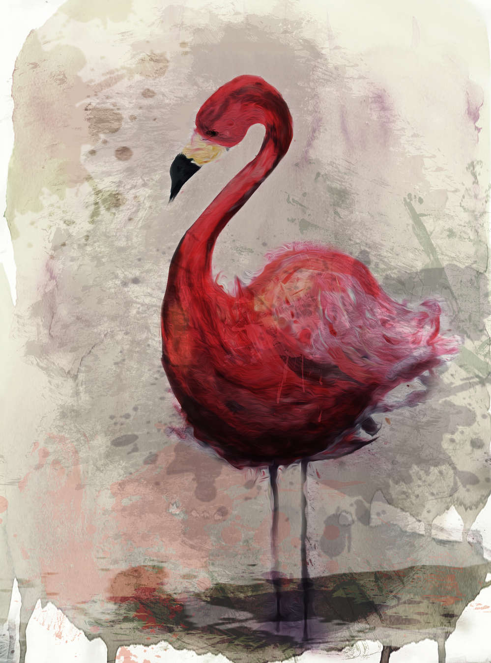 Flamingo, Flamingo Figur, Rot, Federndes Gefieder, Vogelbild