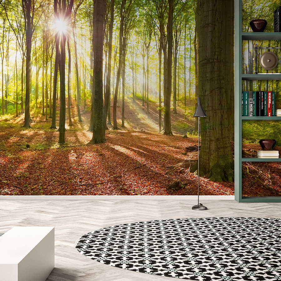         Papier peint nature Forêt avec rayons de soleil sur intissé lisse premium
    