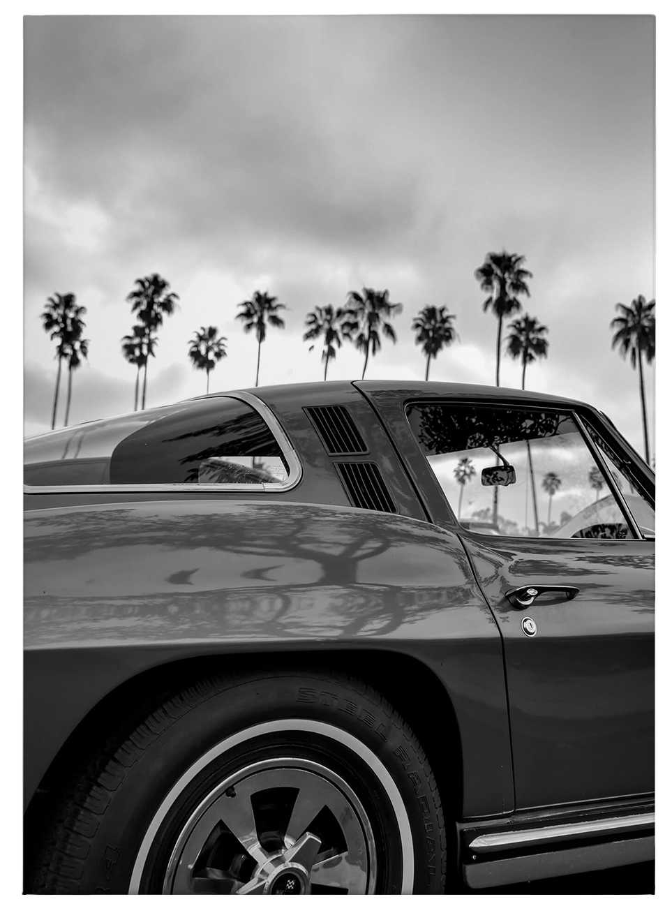             Black and white canvas print California vintage
        