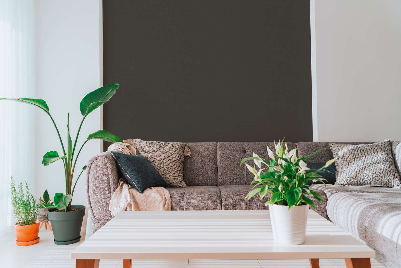 sofa, Wohnzimmer, Pflanzen, Topfpflanzen, Couchtisch