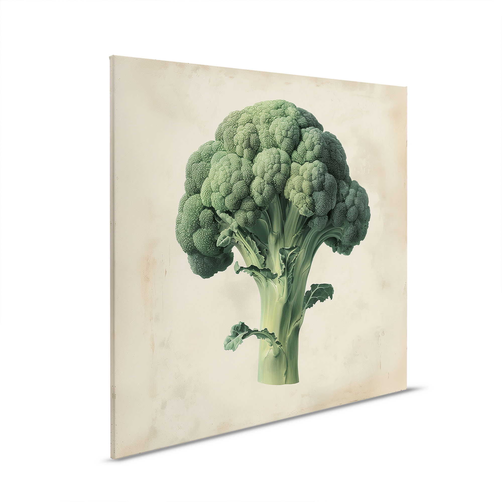 Brokkoli, Essen, Produzieren, Gemüse, Gemälde