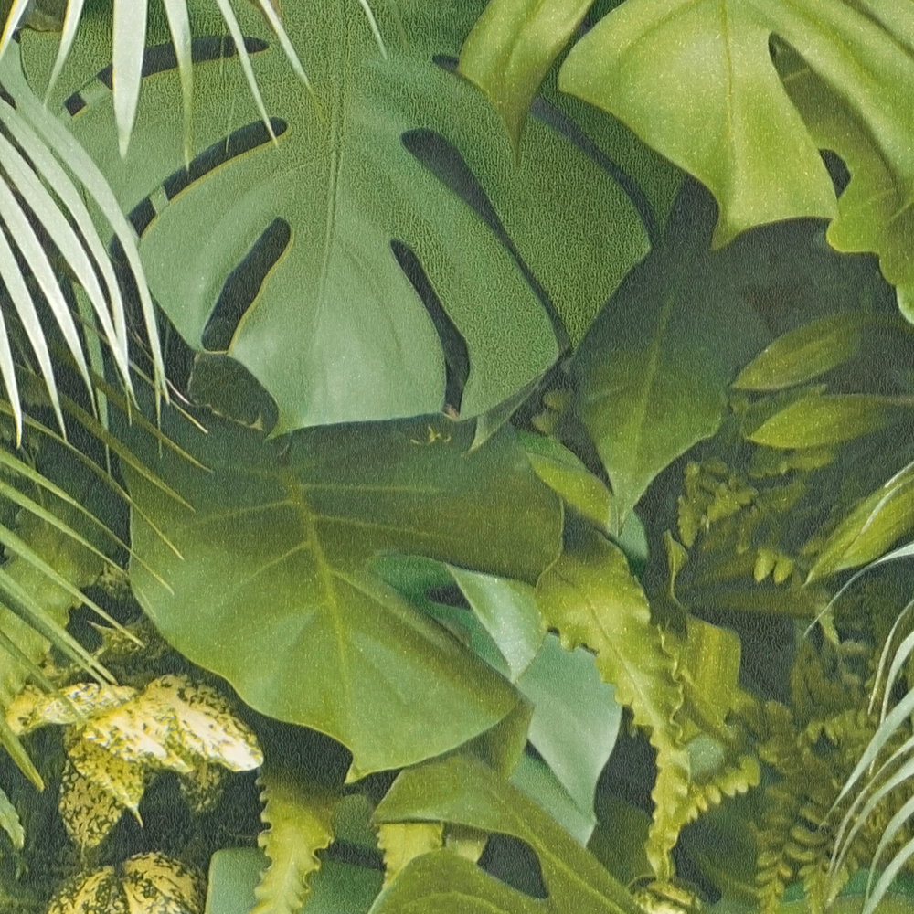             Zelfklevend behangpapier | jungle patroon in 3D optiek - groen
        