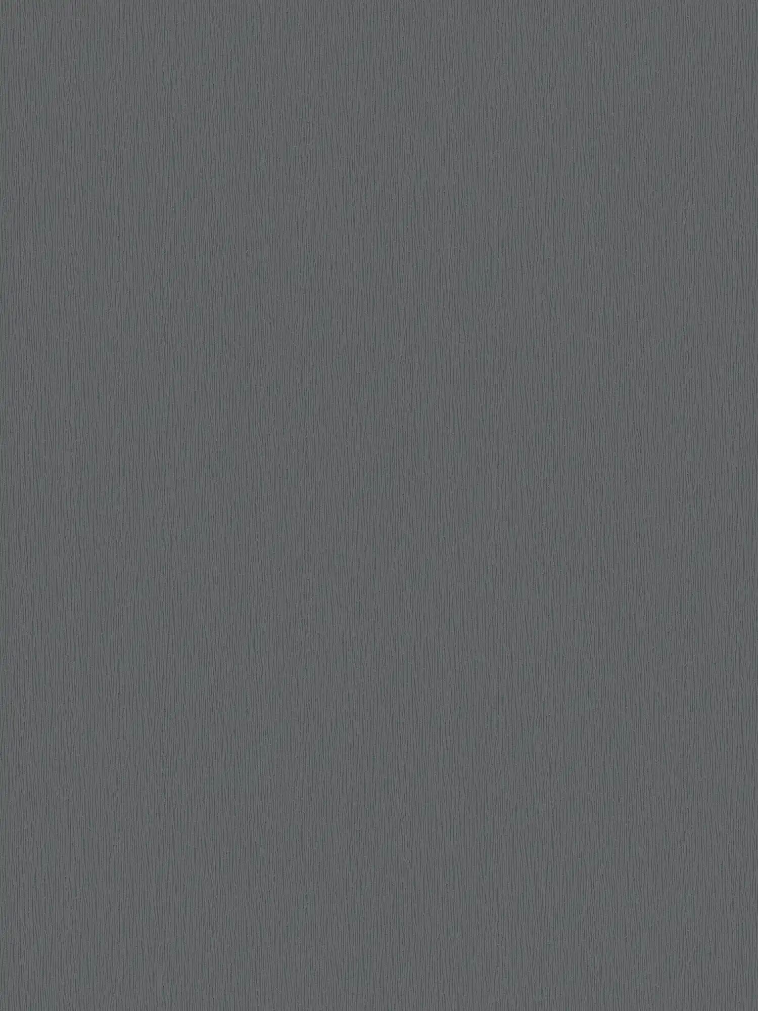         Vliestapete Anthrazit mit natürlichem Ton-in-Ton Strukturmuster – Metallic, Schwarz
    