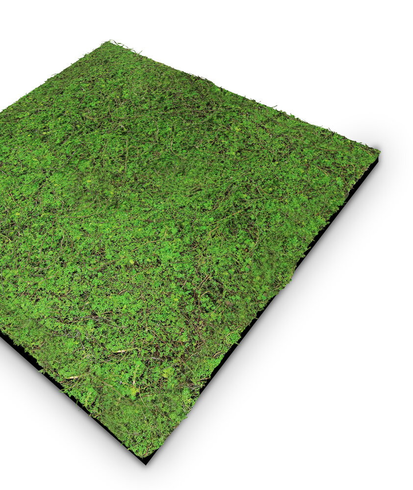 Rasenplatte, Rechenrasen, Künstlicher Rasen, Grasmatte, Grün