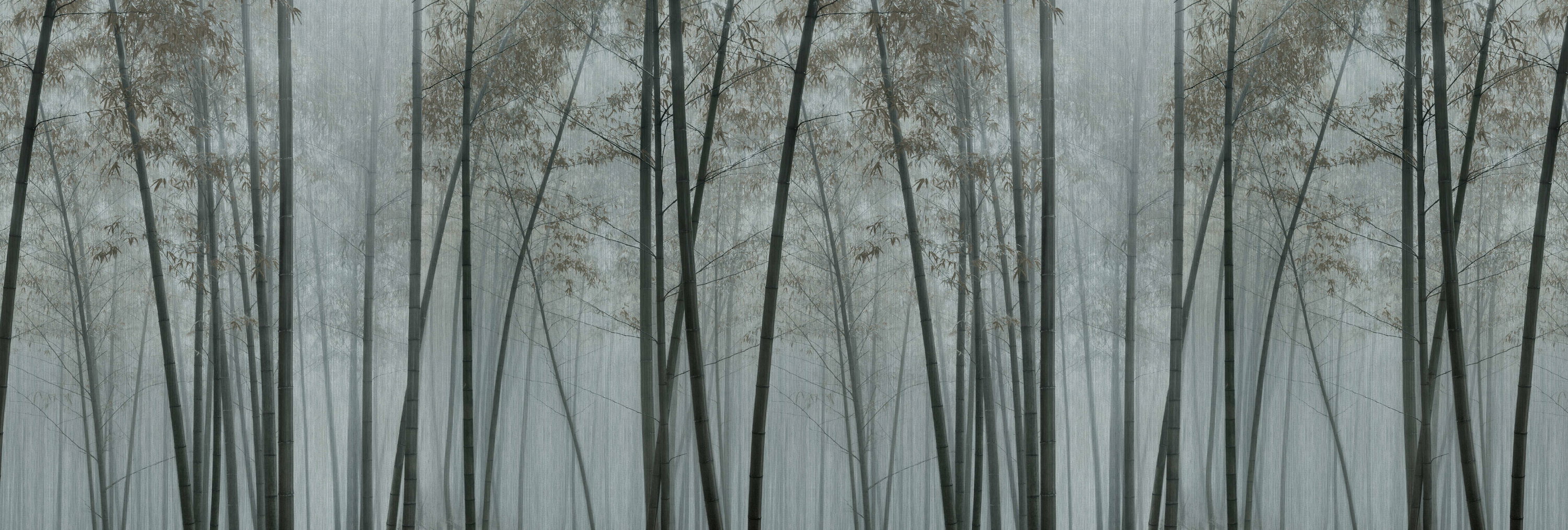 Natur, Draußen, Wetter, Vegetation, Szenerie