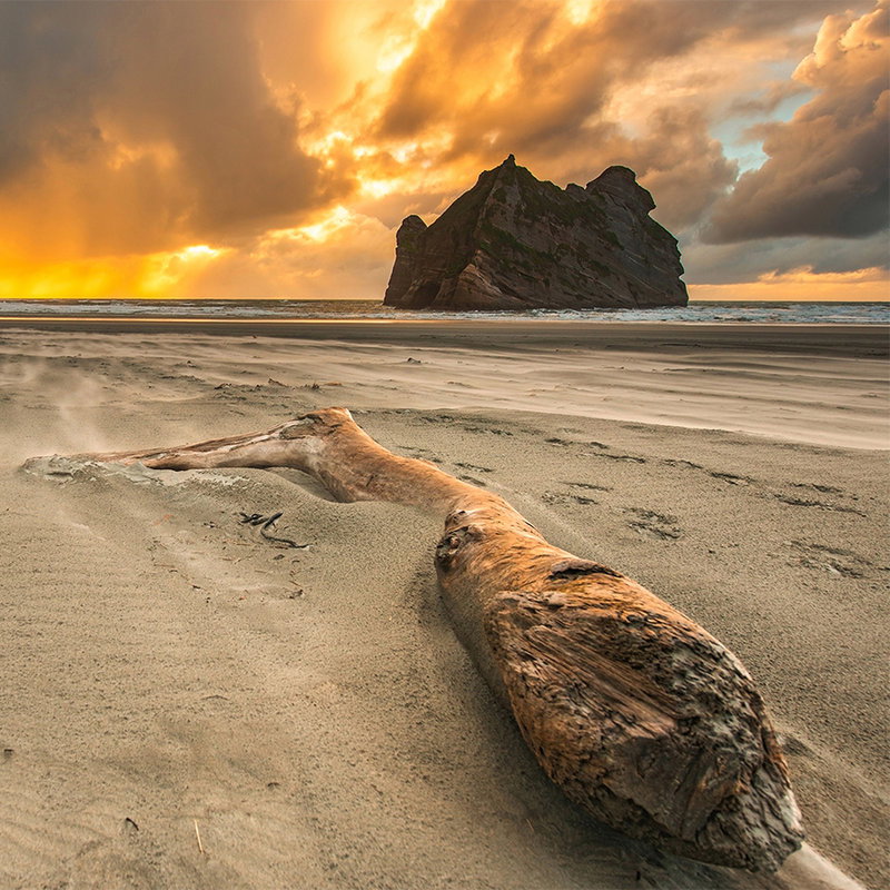 Strand, Logge, Exponiertes Holz, Treibholz, Sonnenuntergang