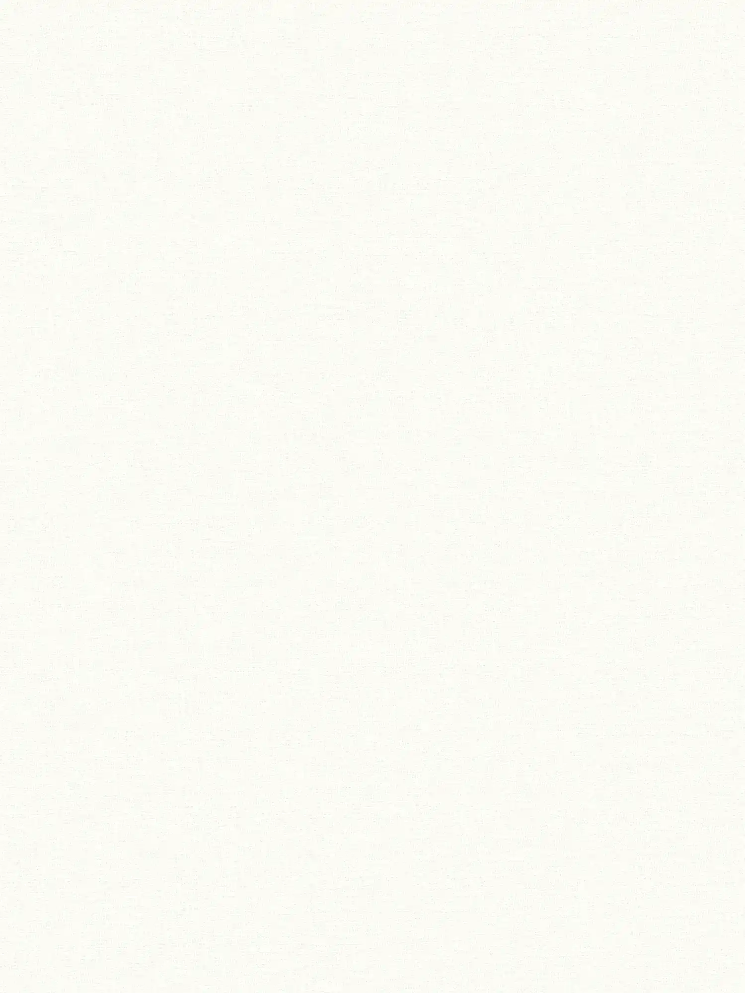         Vliestapete von MICHALSKY einfarbig, matt in Weiß
    