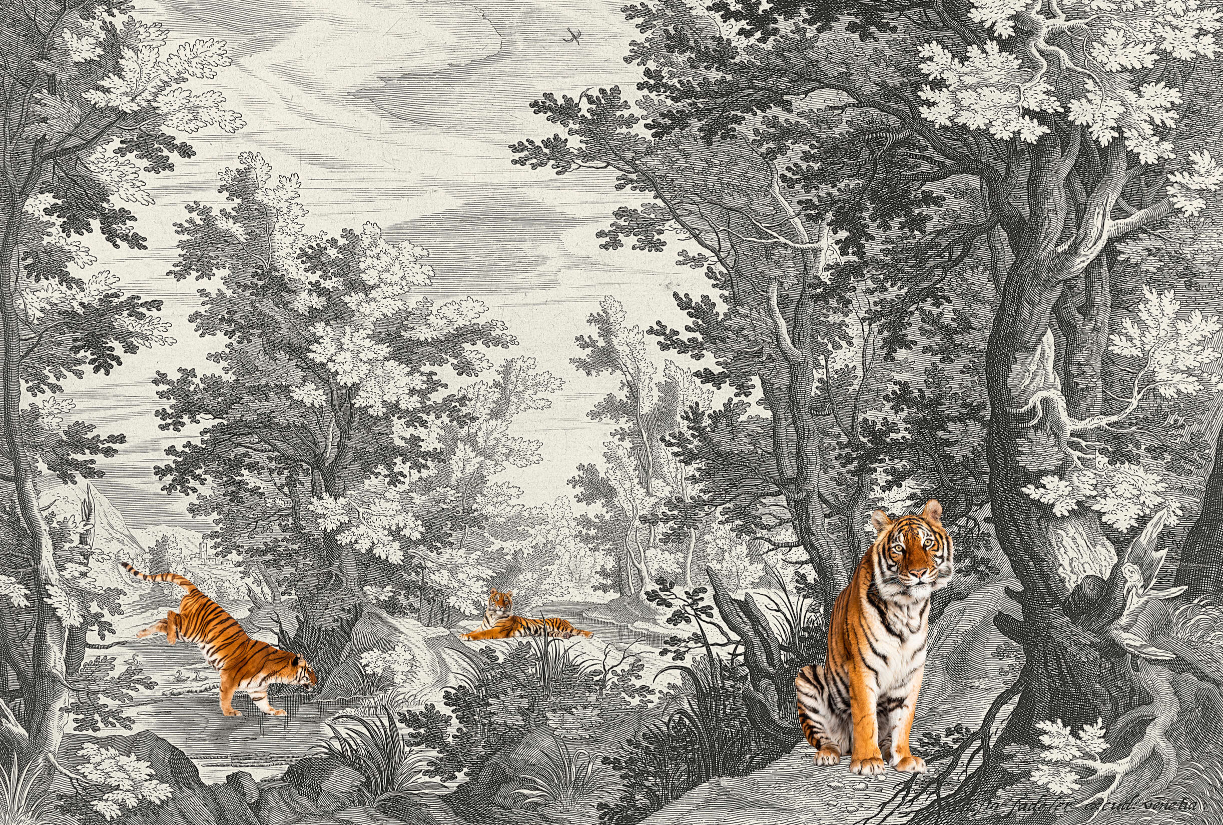 Tier, Säugetier, Tiger, Tierwelt, Kunst