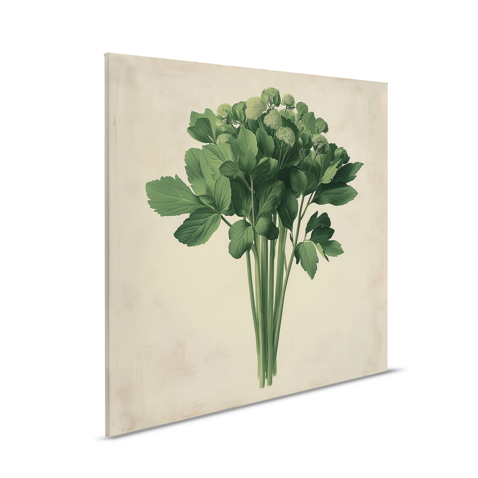         Verse bos selderij - Botanisch canvas schilderij ideaal voor keuken en eetkamer - 30 x 30 cm - Crème, Beige
    